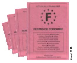 Fiche Pratique&nbsp;: Comment fonctionne le permis à points ?