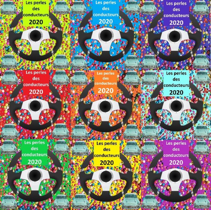 Le bêtisier des conducteurs en 2020