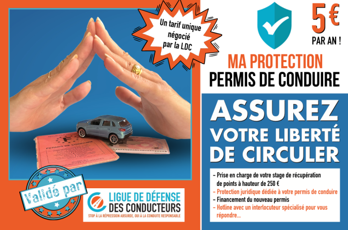 L&rsquo;assurance permis&nbsp;: un filet de sécurité pour votre liberté de circuler